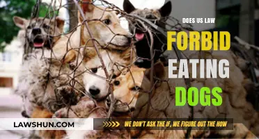 Legal Perspectives on Canine Consumption in the United States