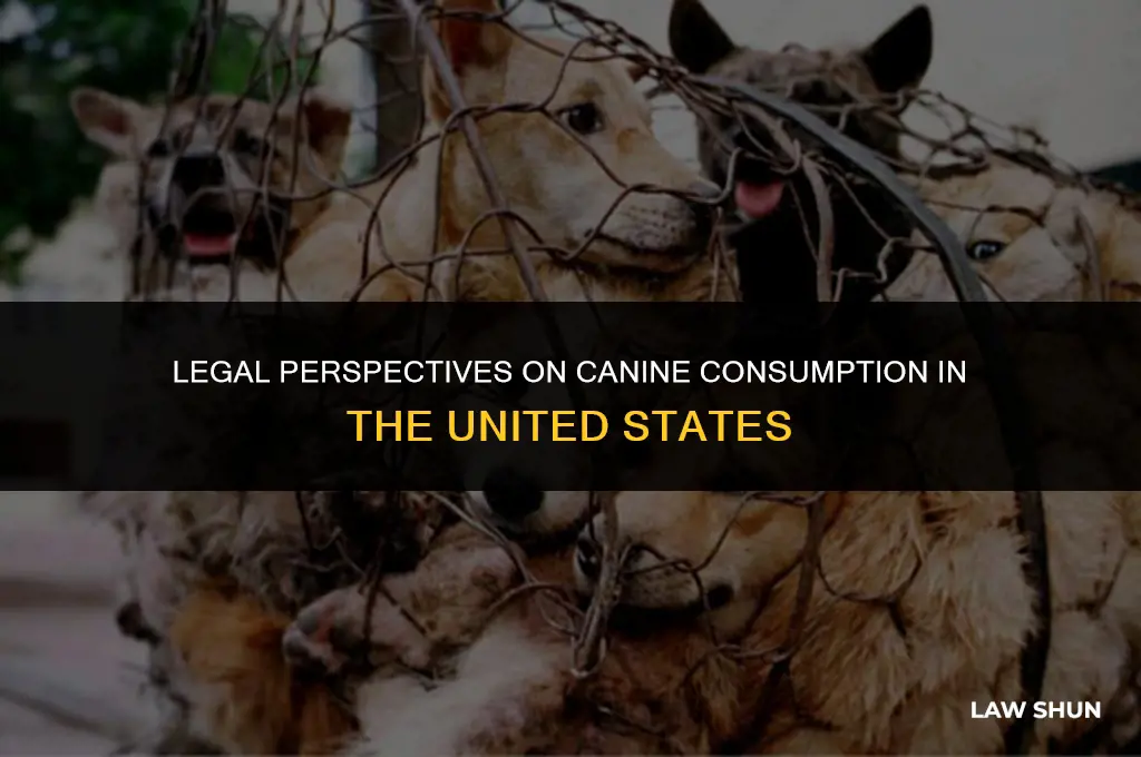 does us law forbid eating dogs