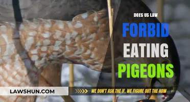 Legal Insights: Understanding the Laws on Eating Pigeons in the U.S