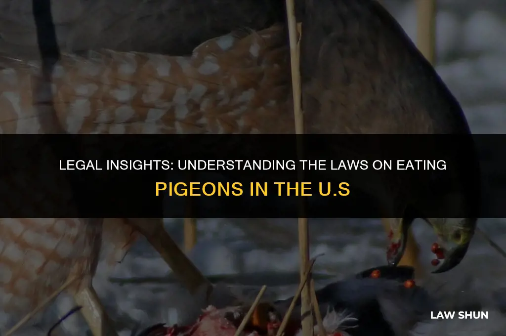 does us law forbid eating pigeons