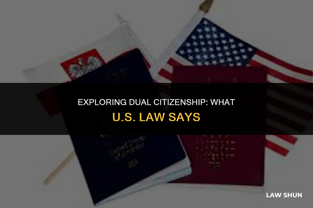 does us law permit dual citizenship