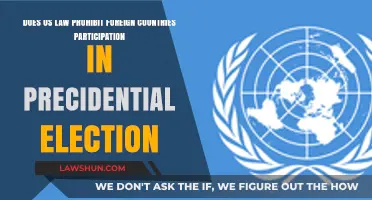 Foreign Influence in US Elections: Legal Boundaries and Prohibitions