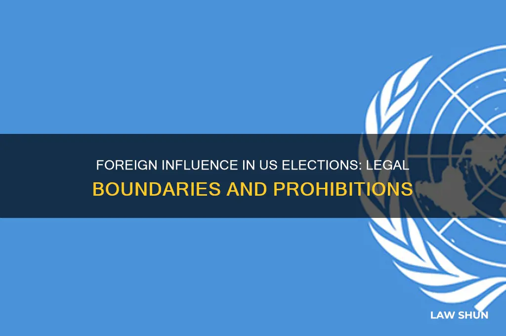 does us law prohibit foreign countries participation in precidential election