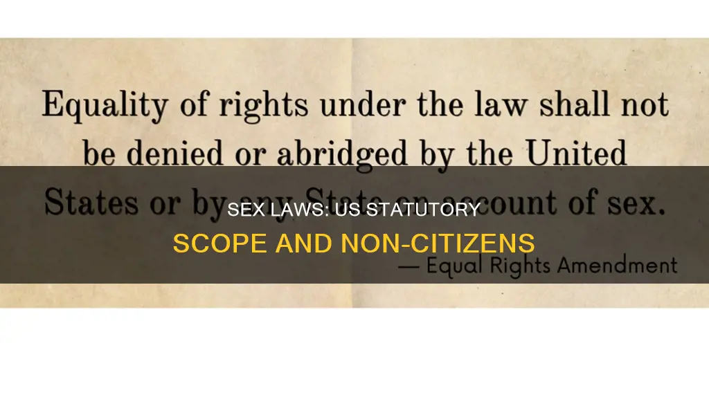 does us statutory sex laws apply to non us citizen