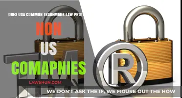 Trademark Law: Protection for Foreign Companies in the USA?