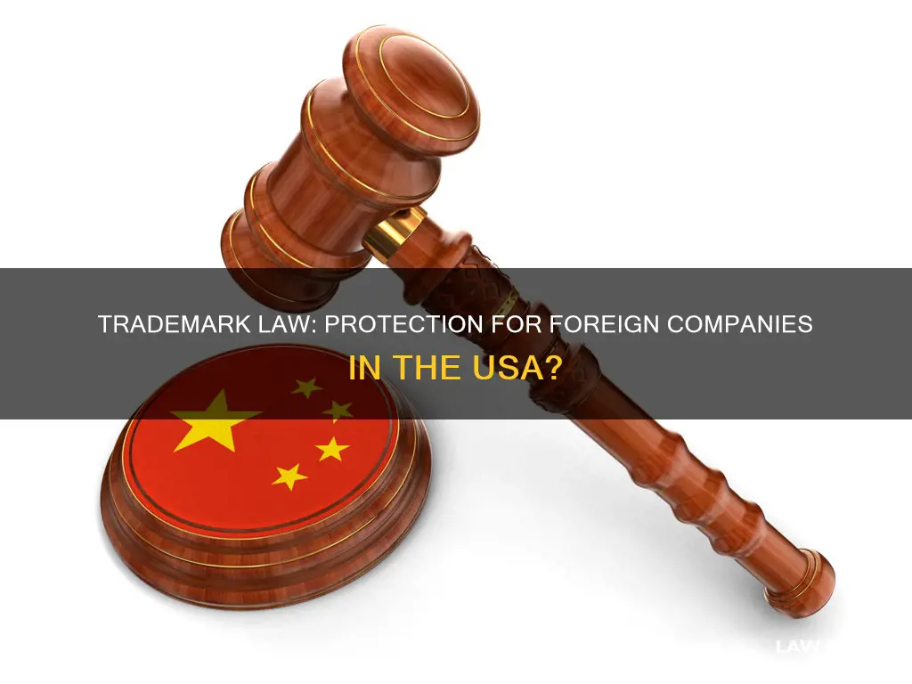 does usa common trademark law protect non us comapnies