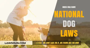 Exploring Canine Legislation: A Look at National Dog Laws in the USA