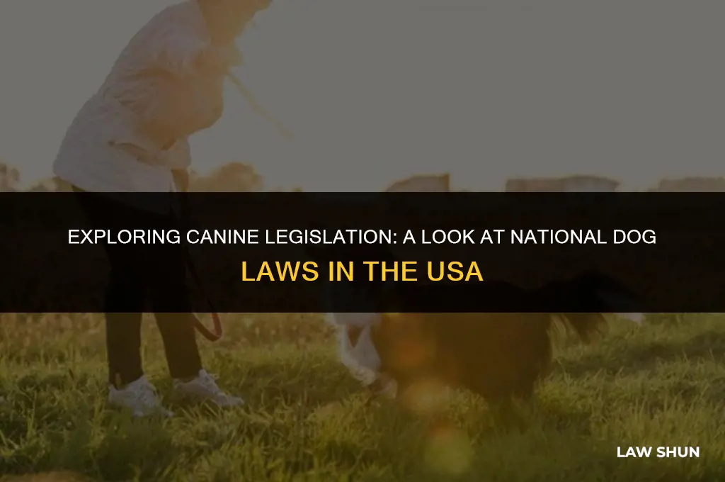 does usa have national dog laws