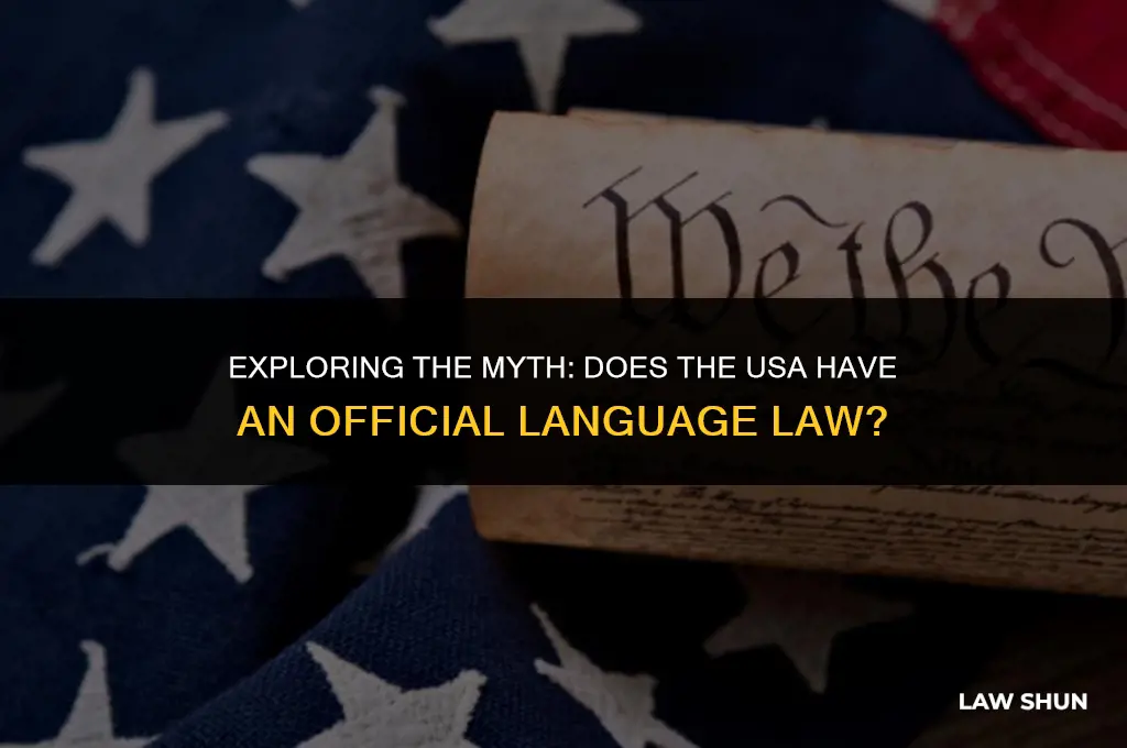 does usa have official language law