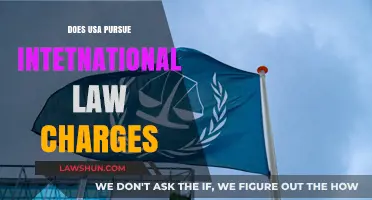 Does the USA Pursue International Law Charges?