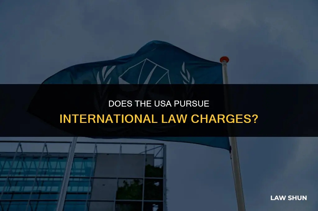 does usa pursue intetnational law charges