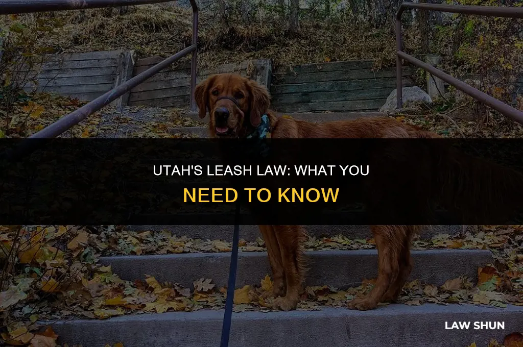 does utah have a leash law