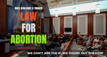 Utah's Abortion Laws: Triggering a New Wave of Restrictions?