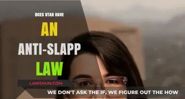 Utah's Anti-SLAPP Law: What You Need to Know