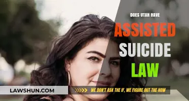 Exploring Utah's Stance on Assisted Suicide: A Legal Overview
