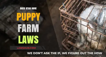 Utah's Puppy Farm Laws: Protecting Canines or Lacking Regulations?