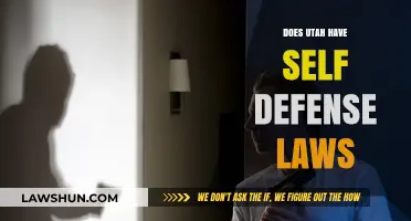 Understanding Utah's Self-Defense Laws: A Comprehensive Guide