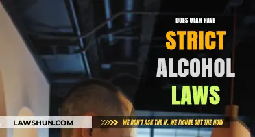 Exploring Utah's Unique Approach to Alcohol Legislation