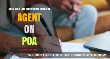 Utah POA Laws: Can Multiple Agents Be Appointed Under One Document?