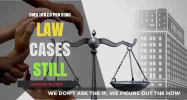 UT Law: Pro Bono Work Continues