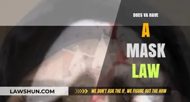 Understanding Virginia's Mask Law: A Comprehensive Guide