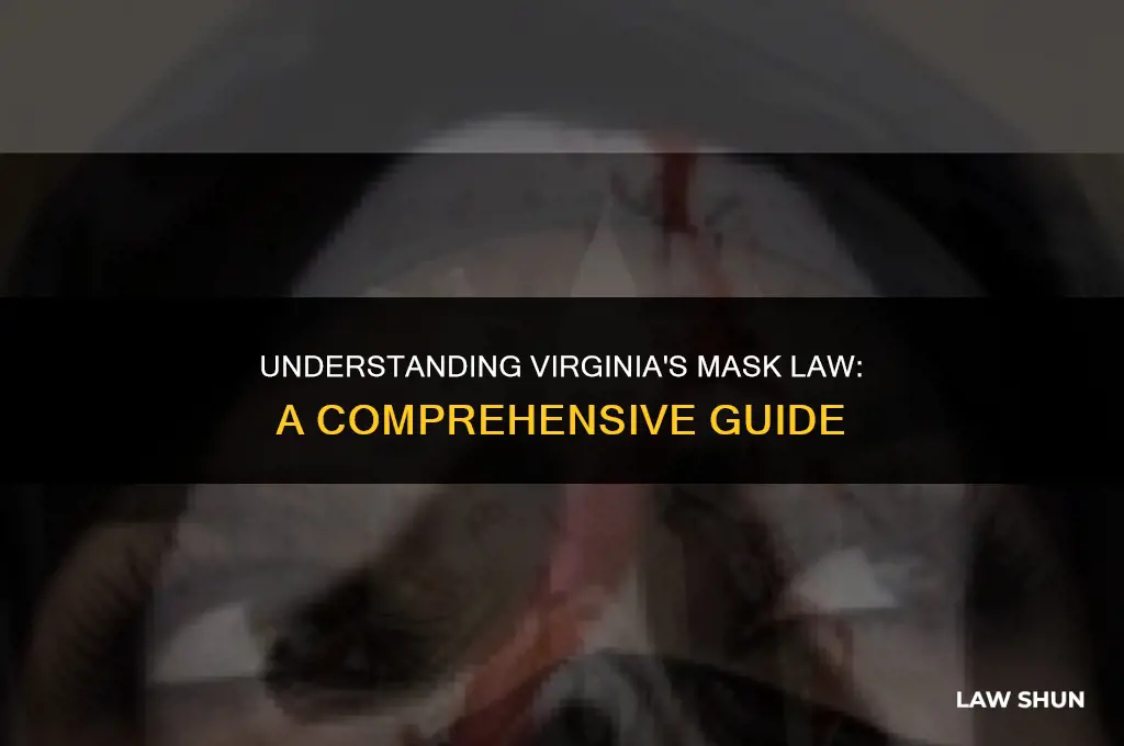 does va have a mask law