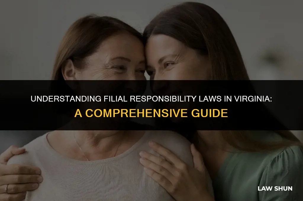 does va have filial responsibility laws