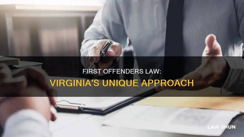 does va have first offenders law