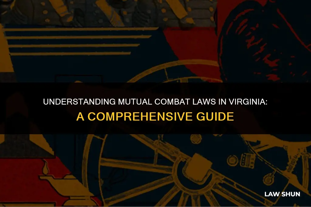 does va have mutual combat law