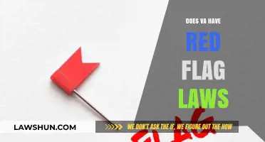 Exploring Virginia's Stance on Red Flag Laws: A Comprehensive Overview