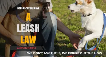 Exploring Vacaville's Leash Law: A Guide for Dog Owners