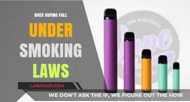Clearing the Air: Vaping and Smoking Laws Explained