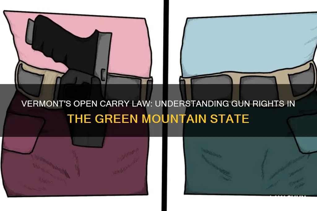 does vermont have an open carry law