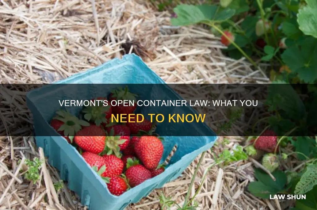 does vermont have an open container law
