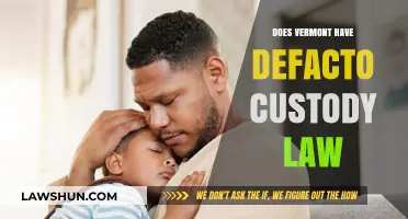 Understanding Vermont's Custody Laws: A Guide to Defacto Custody