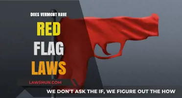Exploring Vermont's Stance on Red Flag Laws: A Comprehensive Overview