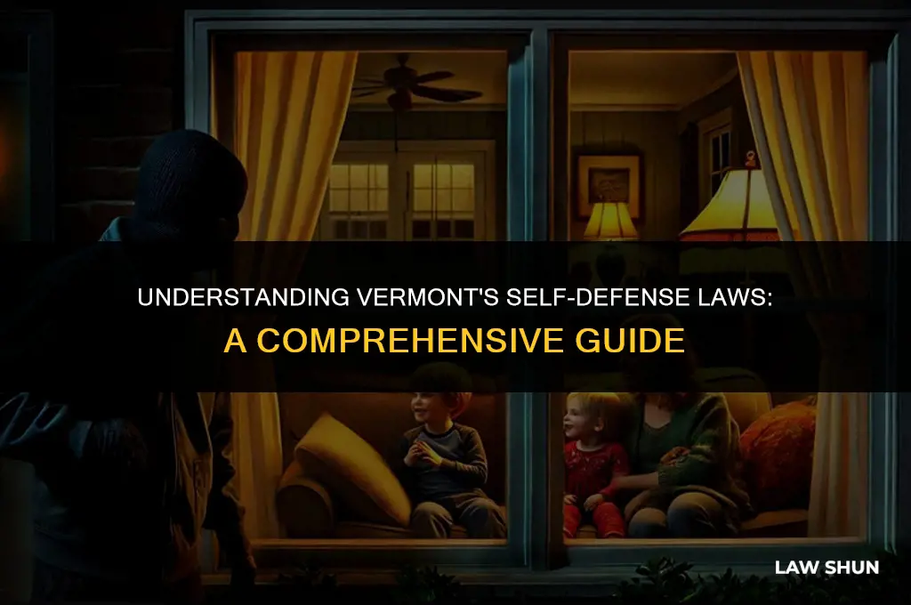 does vermont have self defense laws