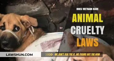 Exploring Vietnam's Legal Stance on Animal Cruelty: A Comprehensive Overview