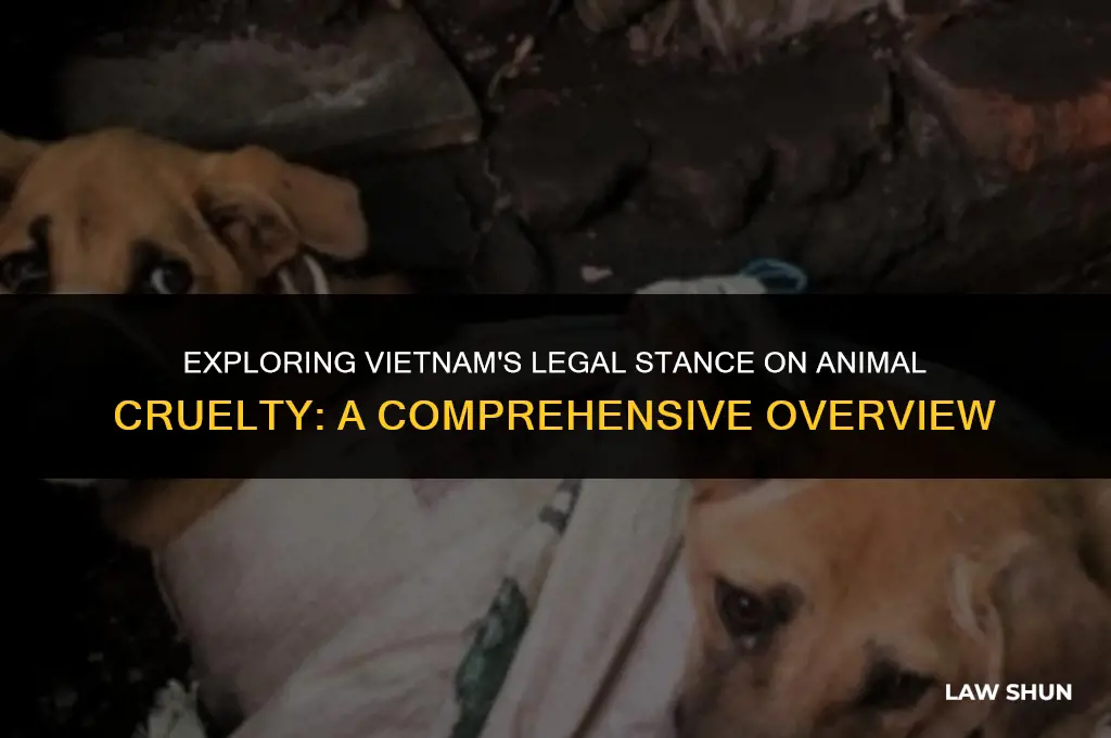 does vietnam have animal cruelty laws