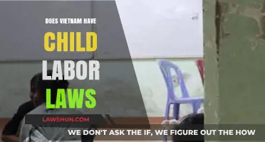 Vietnam's Child Labor Laws: Protections, Enforcement, and Challenges Explained