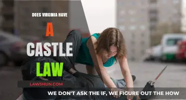 Exploring Virginia's Legal Landscape: Does the Commonwealth Have a Castle Law?