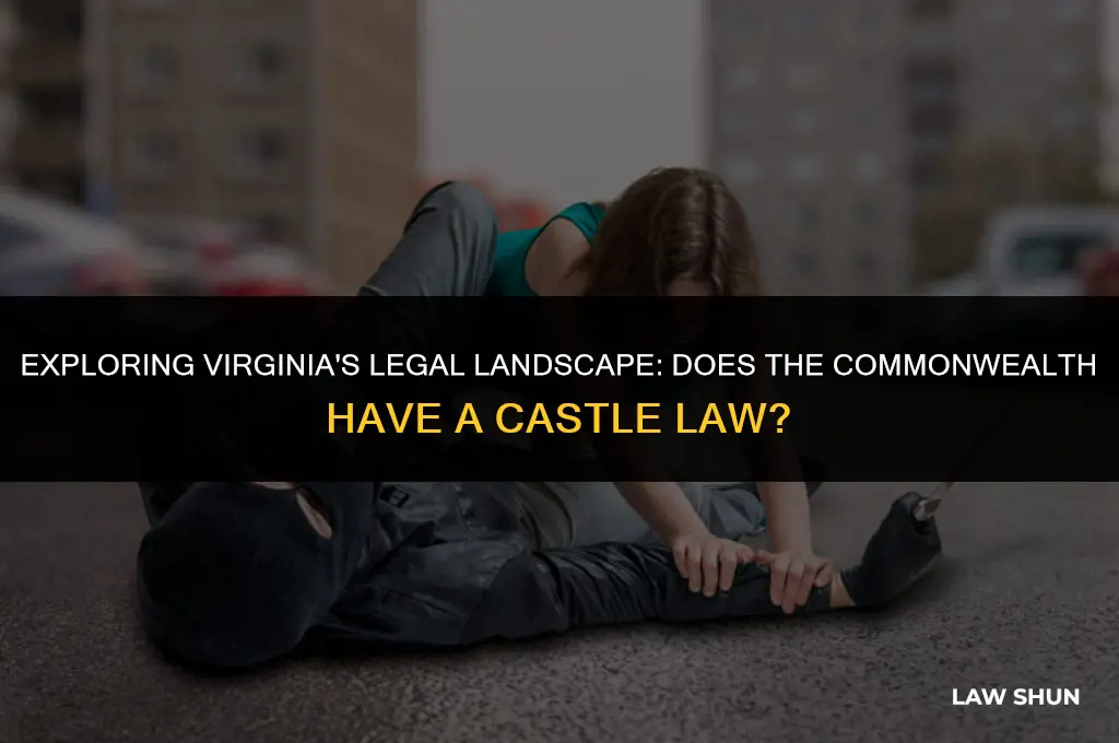 does virginia have a castle law