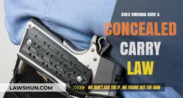 Virginia's Concealed Carry Law: Understanding the Rules and Regulations