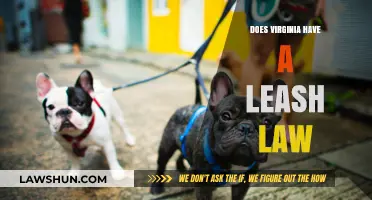Exploring Virginia's Leash Laws: A Comprehensive Guide for Pet Owners