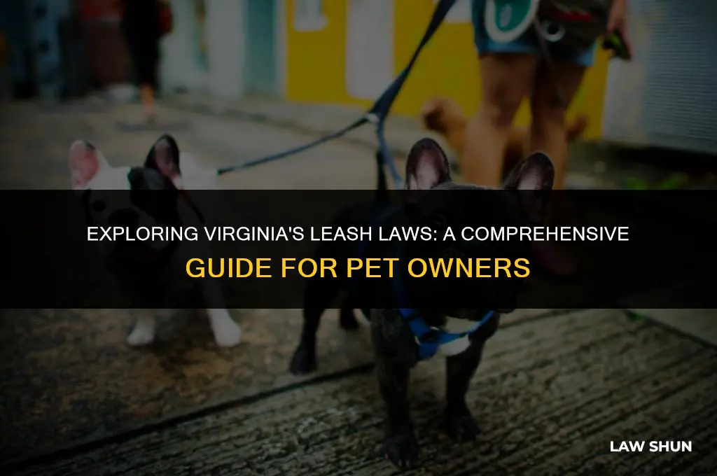 does virginia have a leash law