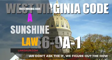 Exploring Virginia's Sunshine Law: Transparency in Government