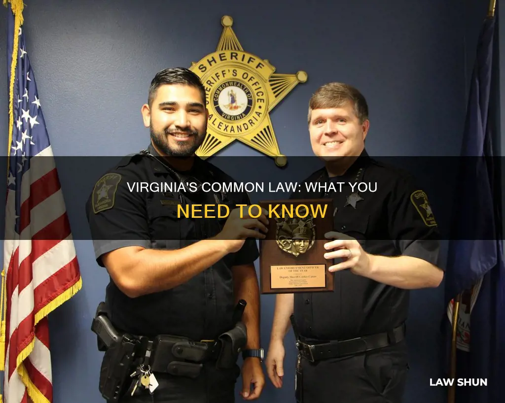 does virginia have common law