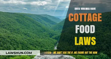 Exploring Virginia's Cottage Food Laws: A Comprehensive Guide