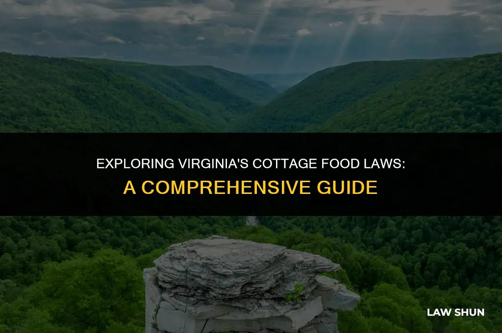 does virginia have cottage food laws