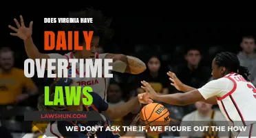 Understanding Virginia's Overtime Laws: A Daily Breakdown